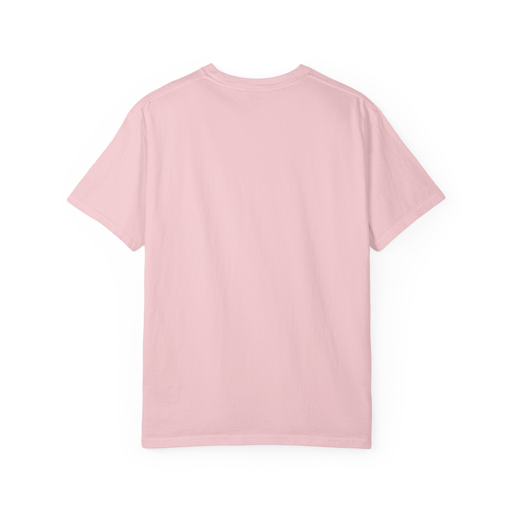 Unisex Garment-Dyed T-shirt graduation  tee